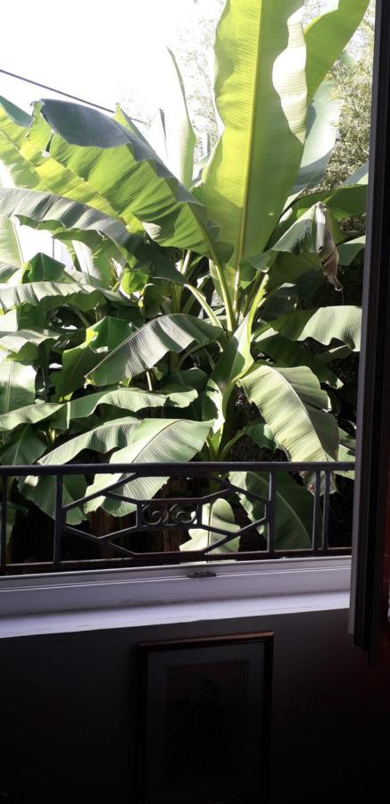Cote Jardin Bed & Breakfast Perigueux Exterior photo